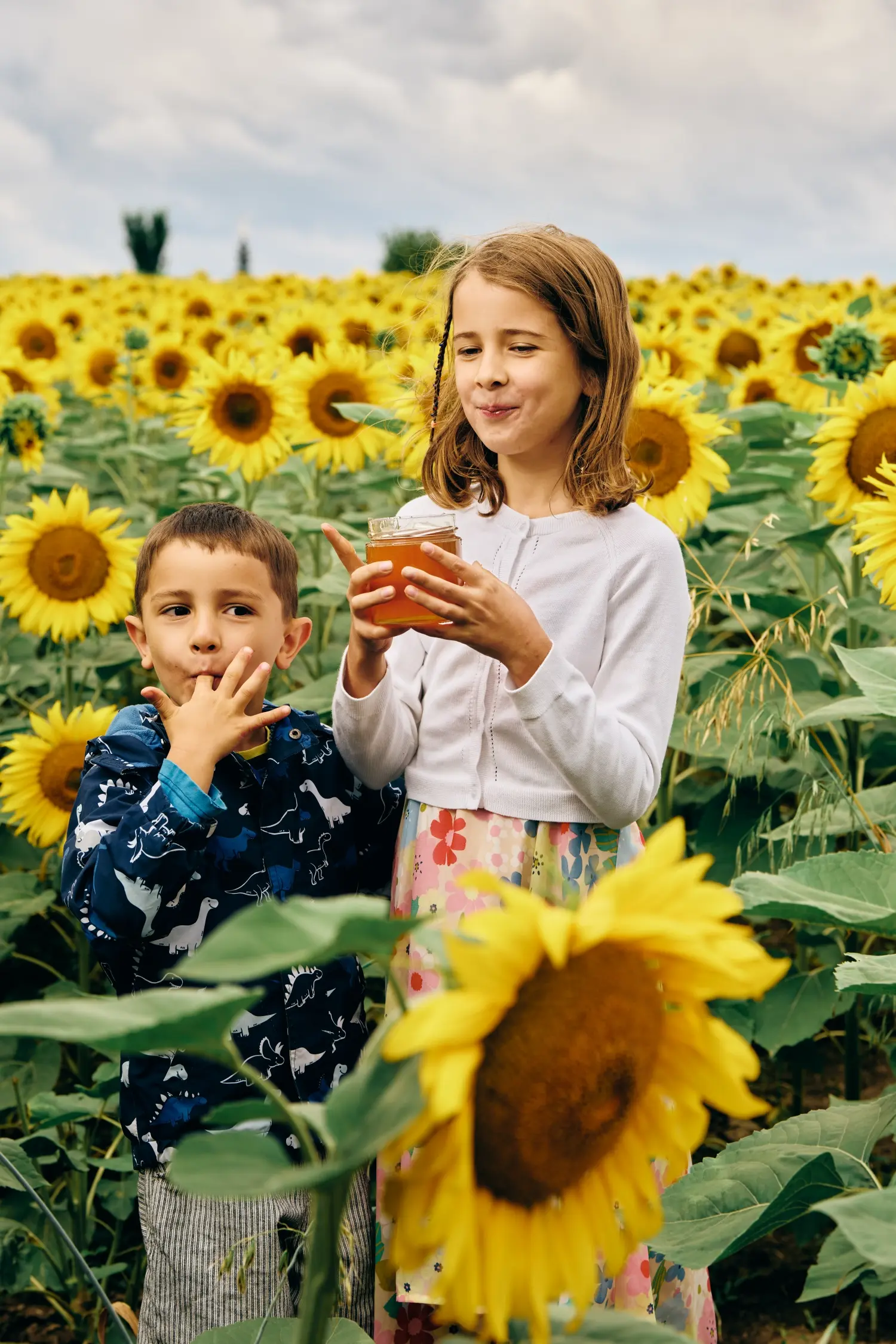 zwei Kinder probieren Honig auf einem Sonnenblumenfeld