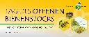 Banner_Tag_des_offenen_Bienenstocks_2017.webp