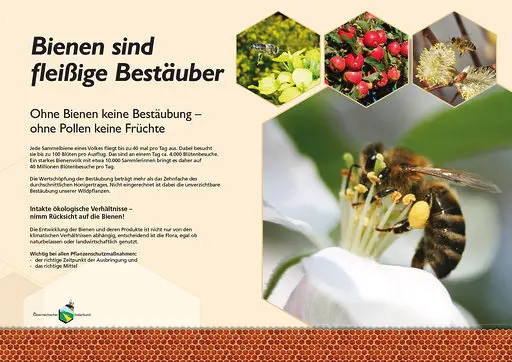 Bienenlehrpfad Einzel A3 ALU Dibond - 1 Stück