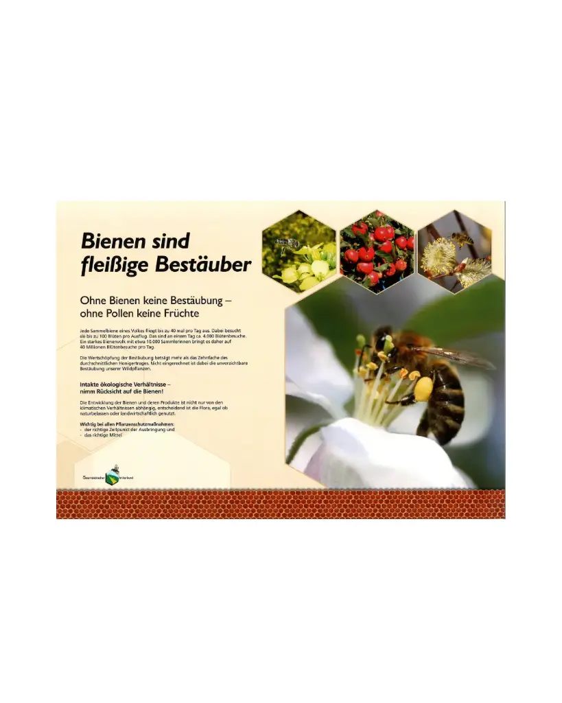 Bienenlehrpfad Einzel A0 ALU Dibond - 1 Stück