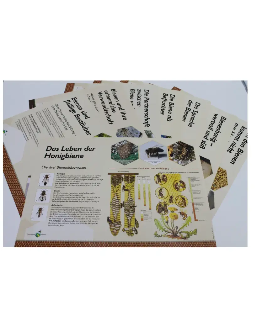 Bienenlehrpfad-Poster im SET - A2 (8 Stück)