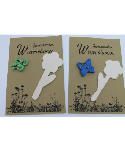 Samenbomben Wiesenblumen