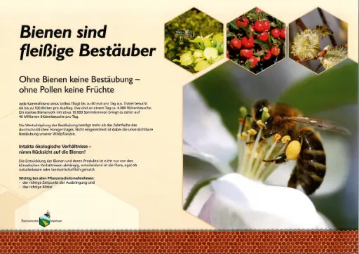 Bienenlehrpfad Einzel A0 ALU Dibond - 1 Stück